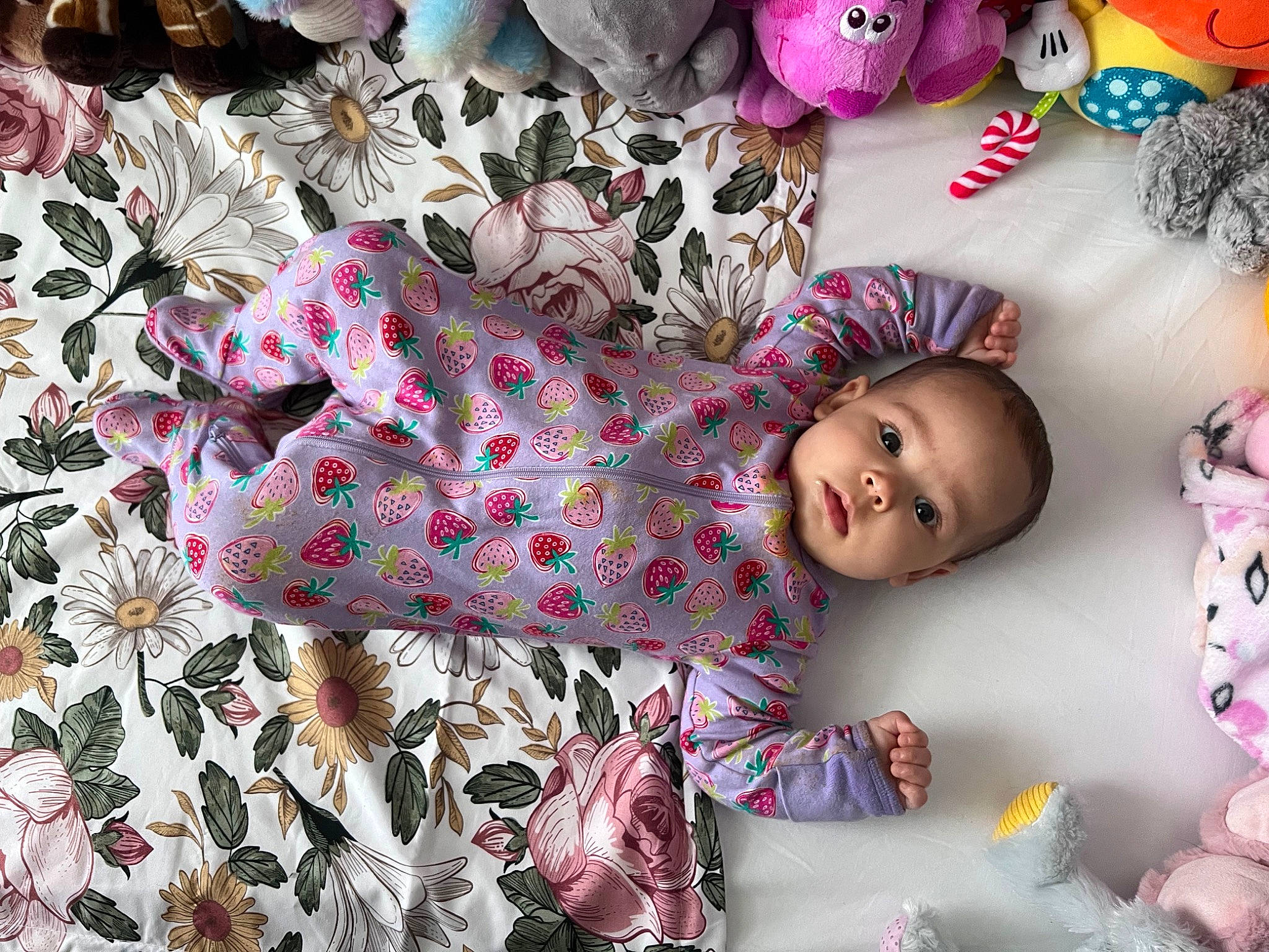 Violet joined the competition — help win amazing prizes! baby, baby_toddler_clothing, carmine, child, dress, happy, linens, magenta, mammal, pattern, person, pink, plaid, room, sleeve, smile, textile, toddler, toy, visual_arts