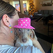 Harlow joined the competition — help win amazing prizes! dog, puppy, pink_hat, polka_dots, person, ear, face, eyes, nose, close_up, portrait, indoor, living_room, christmas_tree, bokeh_lights, couch, holding, earring, shirt, cute