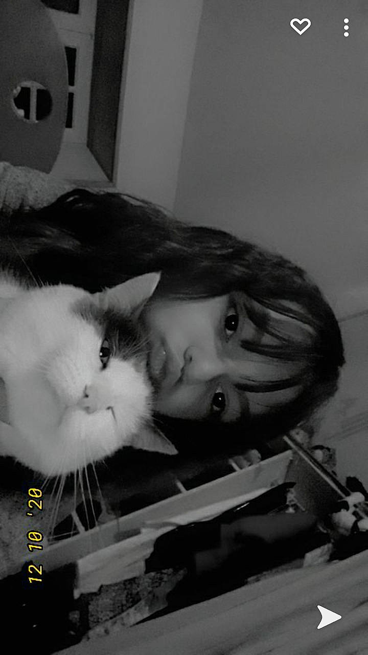 Alpha participe au concours pour gagner de l'argent avec cette photo : beard, black, black_and_white, carnivore, cat, child, comfort, domestic_short_haired_cat, felidae, fur, iris, monochrome, monochrome_photography, paw, room, small_to_medium_sized_cats, snout, style, tail, whiskers