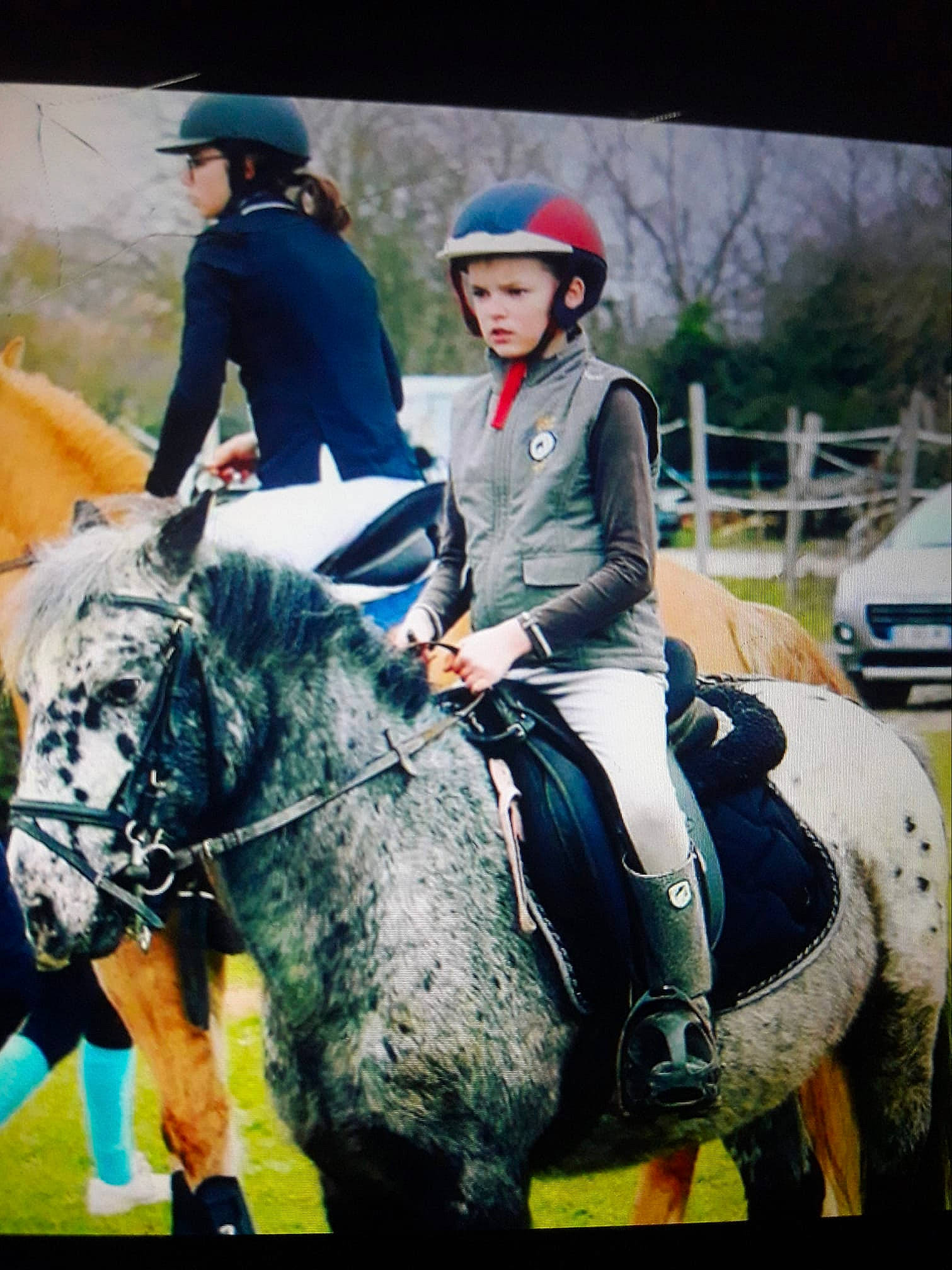 Quad a rejoint le concours — aidez-le/la à gagner de superbes lots ! animal_sports, bridle, english_riding, equestrian, equestrian_helmet, equestrian_sport, equestrianism, equitation, halter, horse, horse_supplies, horse_tack, mammal, mane, outdoor_recreation, recreation, rein, saddle, stallion, vertebrate