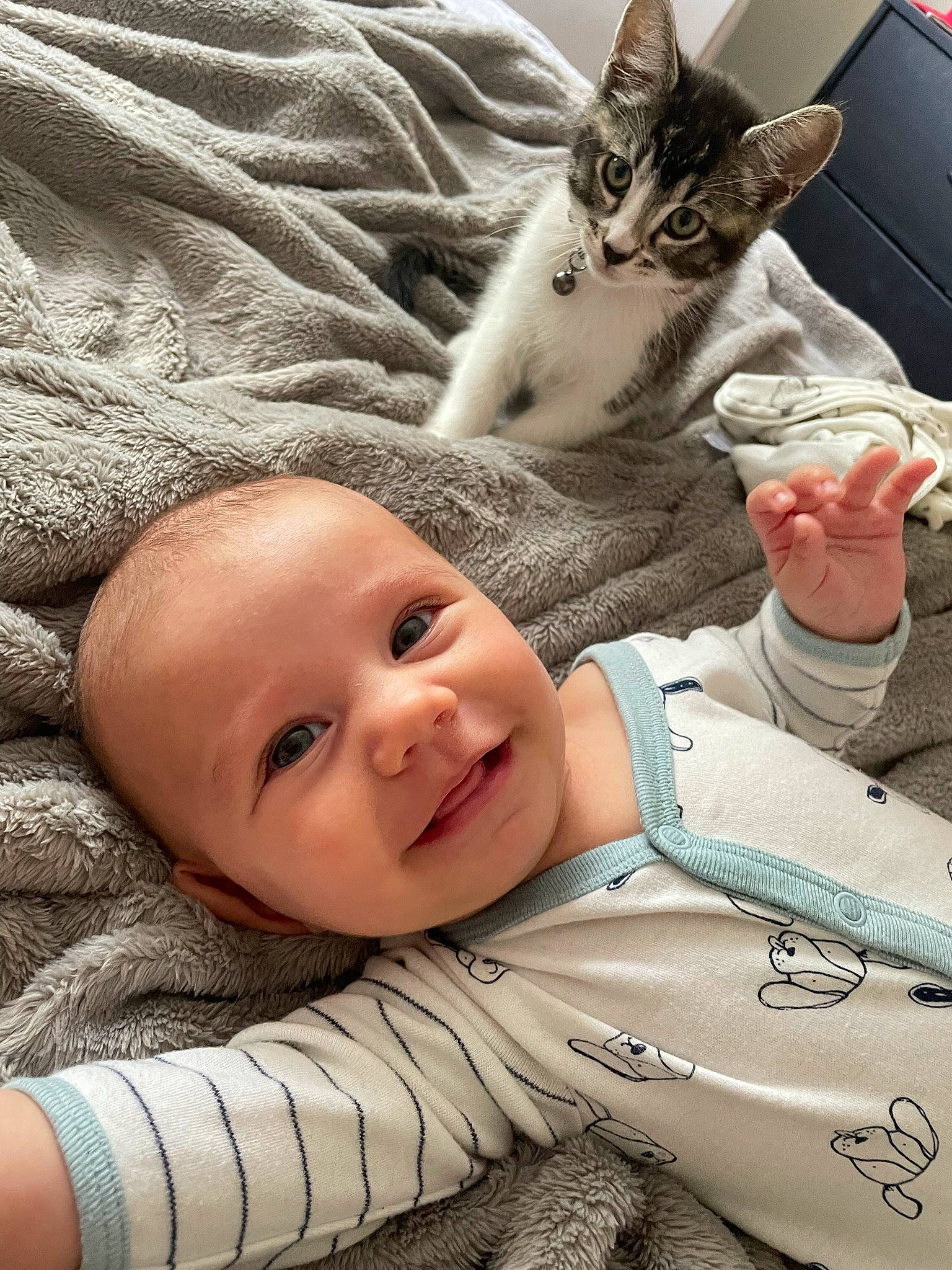 Kyah is registered to the contest to win money with this photo: baby, baby_toddler_clothing, carnivore, cat, cheek, child, comfort, eye, felidae, gesture, happy, head, joy, leg, mammal, nose, person, skin, small_to_medium_sized_cats, smile