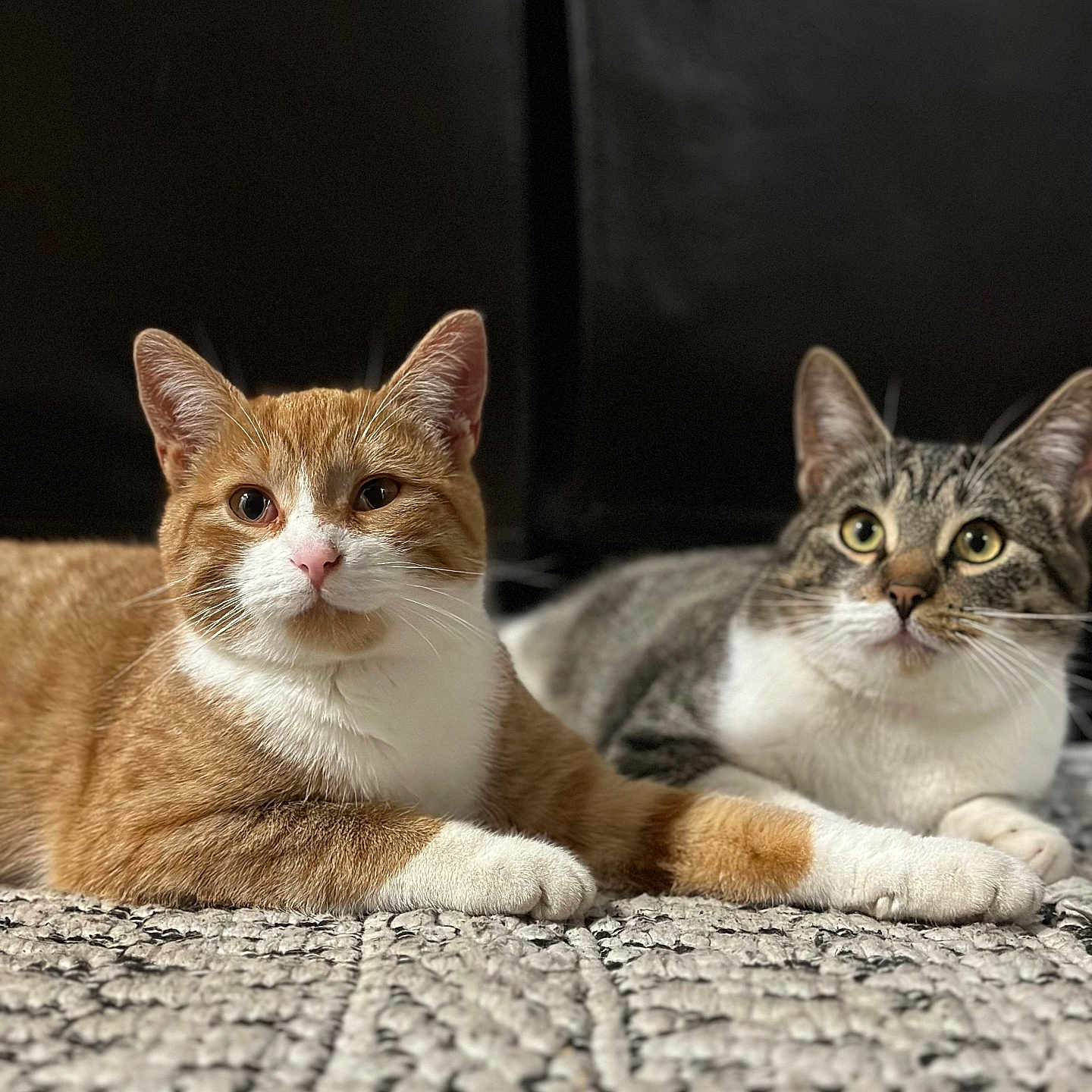 Max And Ruby