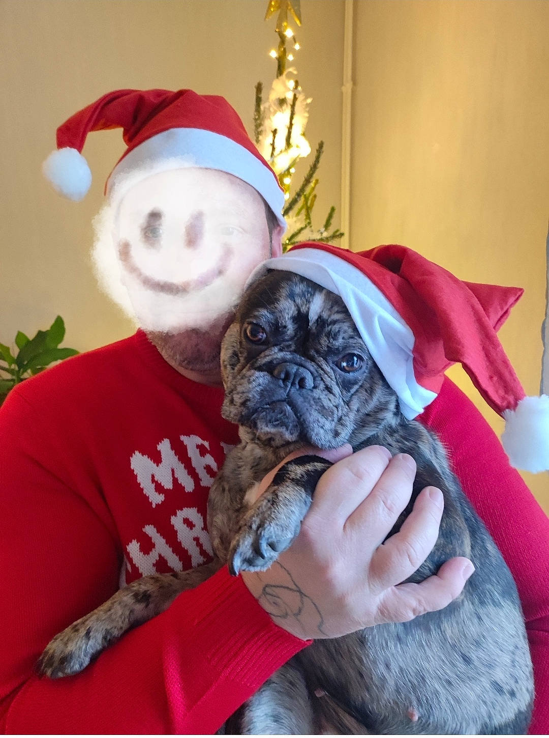 Karma participe au concours pour gagner de l'argent avec cette photo : beard, carmine, christmas_ornament, companion_dog, costume_hat, dog_clothes, event, felidae, fictional_character, fur, headgear, holiday, holiday_ornament, ornament, santa_claus, sleeve, stuffed_toy, t_shirt, toy, toy_dog