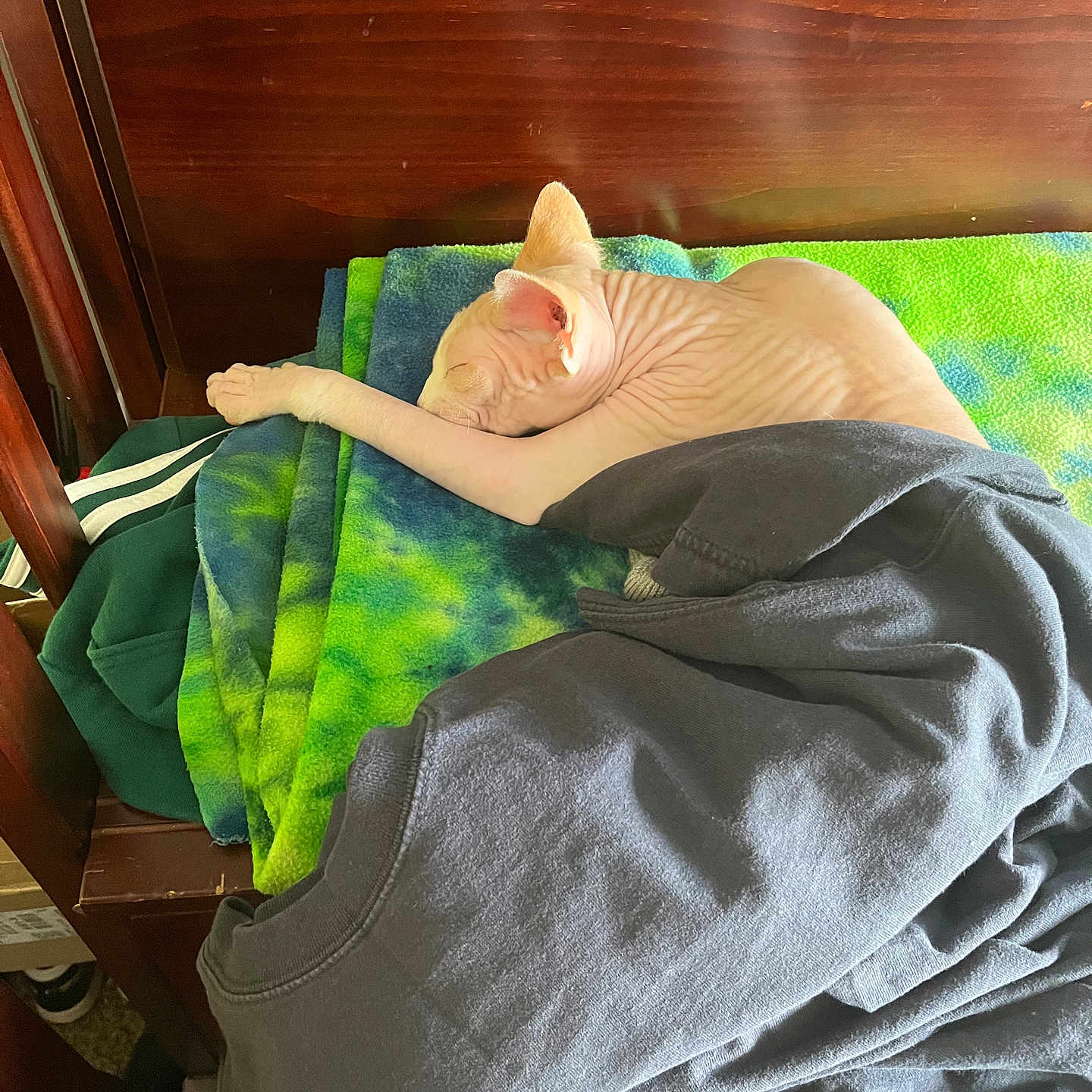 Peewee joined the competition — help win amazing prizes! adult, bed, blanket, crib, cushion, face, female, furniture, head, homedecor, indoors, infantbed, interiordesign, person, photography, portrait, quilt, sleeping, towel, woman
