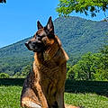 Winston H.