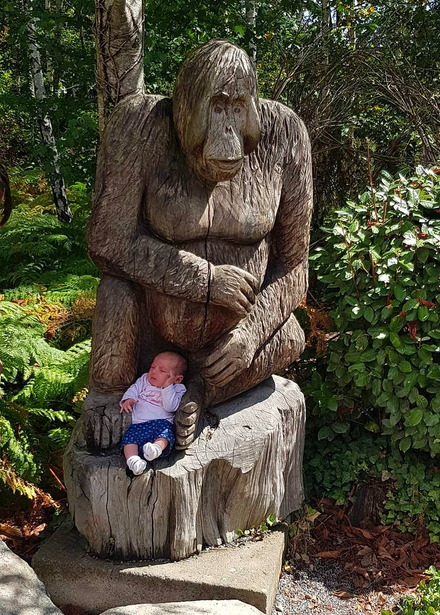 Kaïna a rejoint le concours — aidez-le/la à gagner de superbes lots ! art, artwork, botanical_garden, botany, carving, chainsaw_carving, garden, landscaping, lawn_ornament, monument, nonbuilding_structure, park, person, plant, sculptor, sculpture, sitting, statue, stone_carving, tree