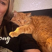 Meowzers joined the competition — help win amazing prizes! black_shirt, cat, close_up, companion, cozy, cuddle, fluffy_cat, home, indoor, orange_cat, person, pet, portrait, relaxation, shoulder, sleepy_cat, smiling, text_on_shirt, texture, wall