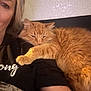 black_shirt, cat, close_up, companion, cozy, cuddle, fluffy_cat, home, indoor, orange_cat, person, pet, portrait, relaxation, shoulder, sleepy_cat, smiling, text_on_shirt, texture, wall
