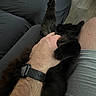 Apollo Charbonneau is registered to the contest to win money with this photo: cat, black_cat, fluffy, furry, pet, animal, cuddling, belly_rub, lap, person, hand, arm, smartwatch, couch, indoor, relaxing, cozy, tail, black_fur, pet_owner
