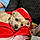 Charlie