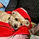 Charlie