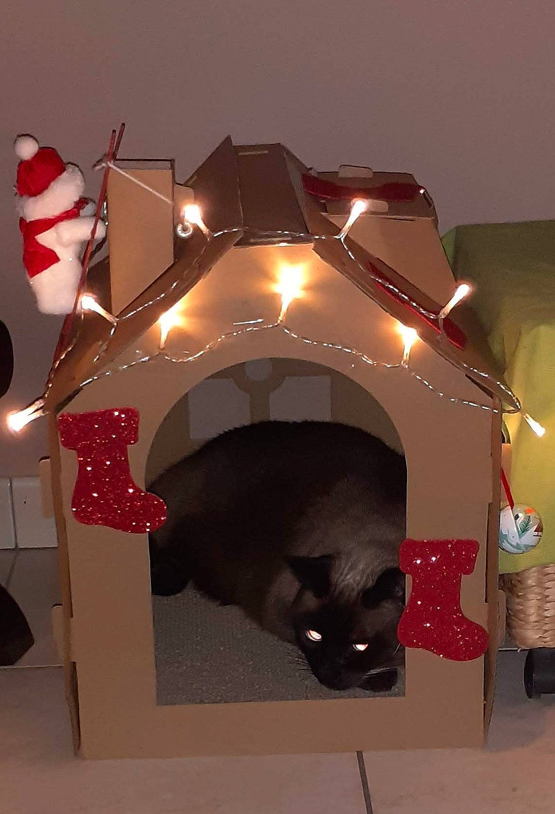 Papaye participe au concours pour gagner de l'argent avec cette photo : architecture, art, automotive_design, automotive_lighting, black, carmine, cat, darkness, event, eyewear, felidae, light, light_fixture, red, room, sculpture, small_to_medium_sized_cats, snapshot, tints_and_shades, visual_arts