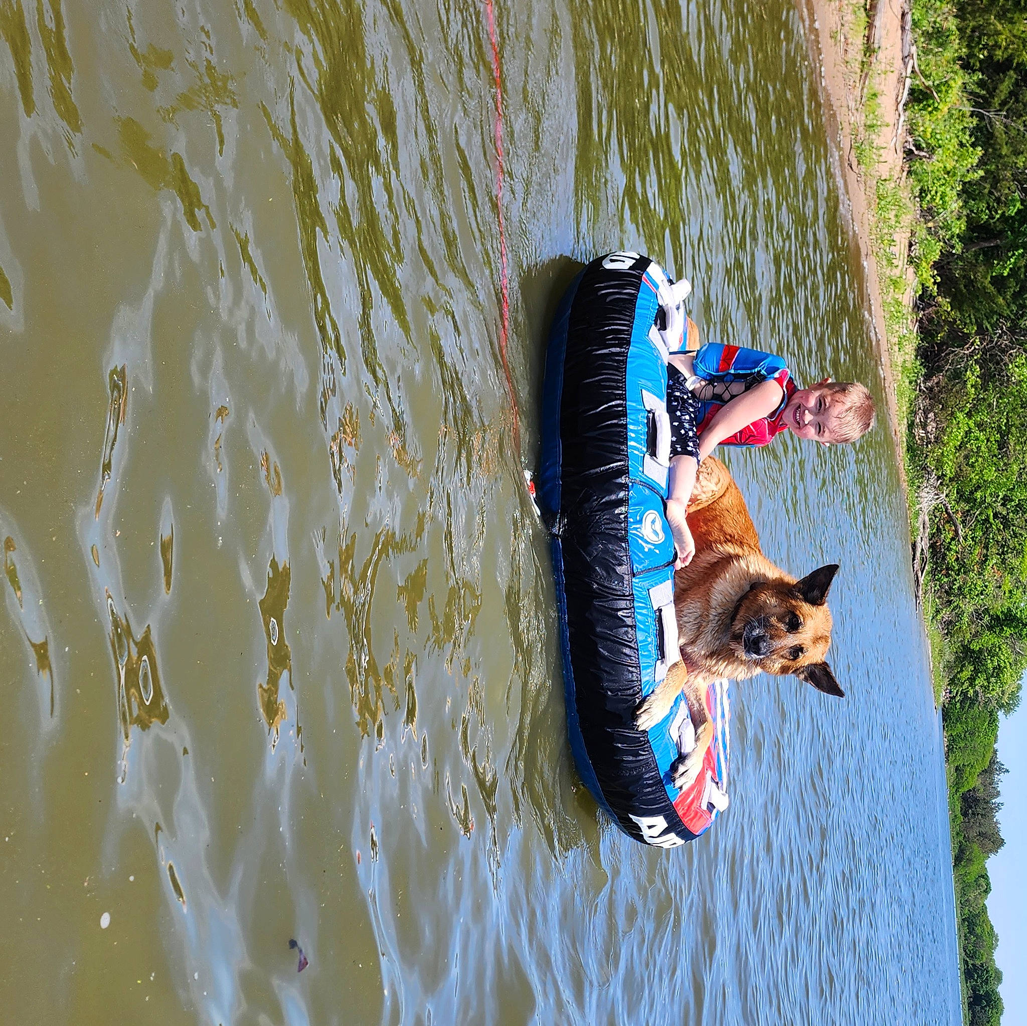 Walter Eugene is registered to the contest to win money with this photo: boat, boats_and_boating_equipment_and_supplies, canidae, carnivore, dog, dog_breed, fun, lake, leisure, plant, recreation, reflection, sporting_group, tail, tree, vehicle, water, water_transportation, watercourse, watercraft