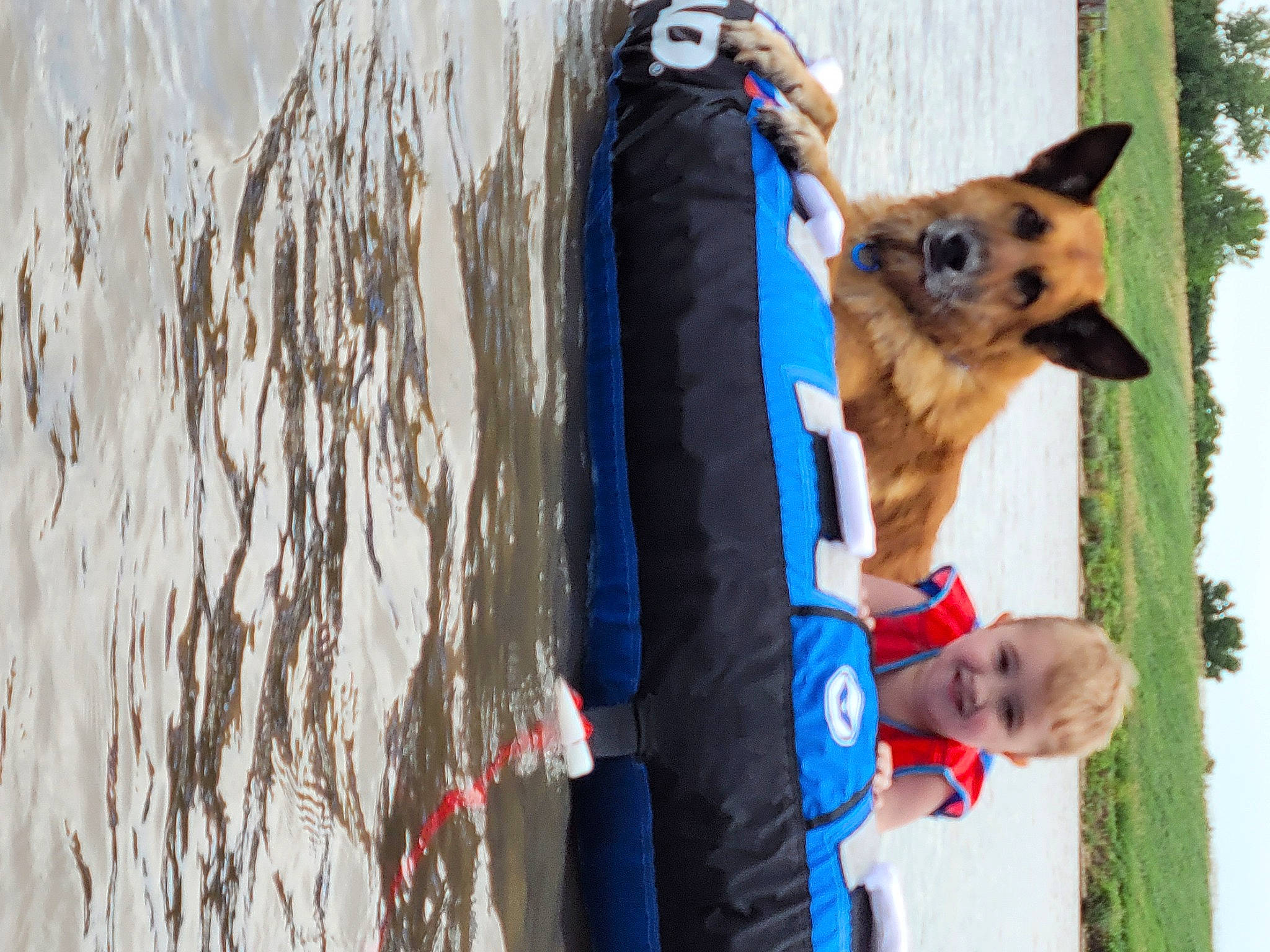 Walter Eugene joined the competition — help win amazing prizes! adventure, canidae, carnivore, companion_dog, dog, dog_breed, dog_supply, electric_blue, fawn, fun, fur, leisure, recreation, sky, sporting_group, tree, vacation, water, wood, working_dog