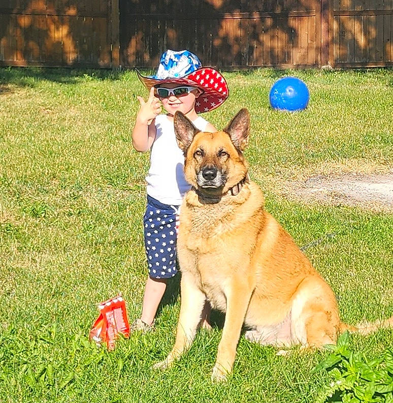 Walter Eugene is registered to the contest to win money with this photo: baseball_cap, cap, carnivore, collar, companion_dog, dog, dog_breed, dog_supply, fawn, fedora, grass, hat, plant, recreation, shorts, sporting_group, sun_hat, sunglasses, working_animal, working_dog