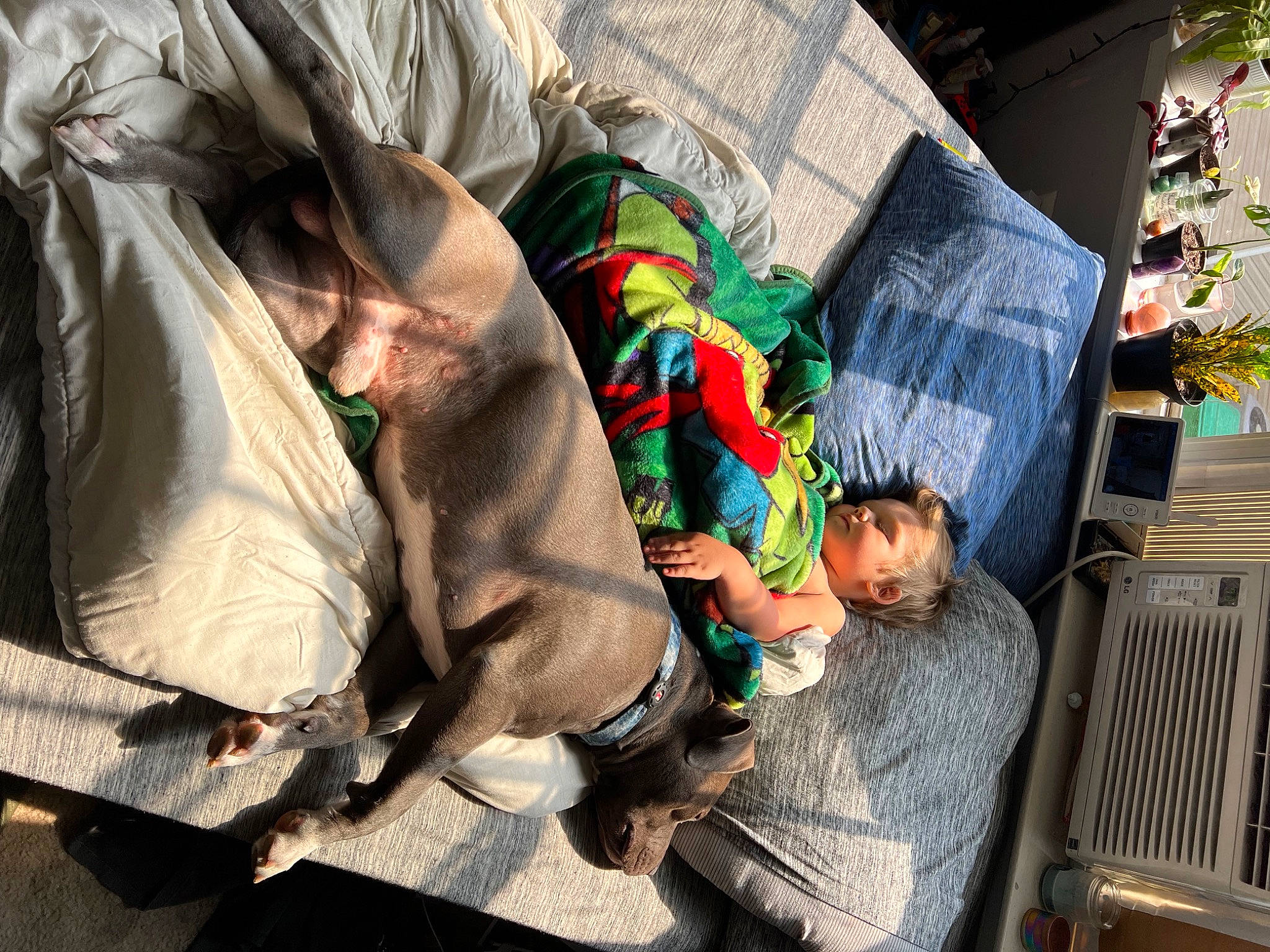 Levi James is registered to the contest to win money with this photo: bag, comfort, event, human, pedestrian, person, plastic_bag, road, sitting, street, toddler, transport