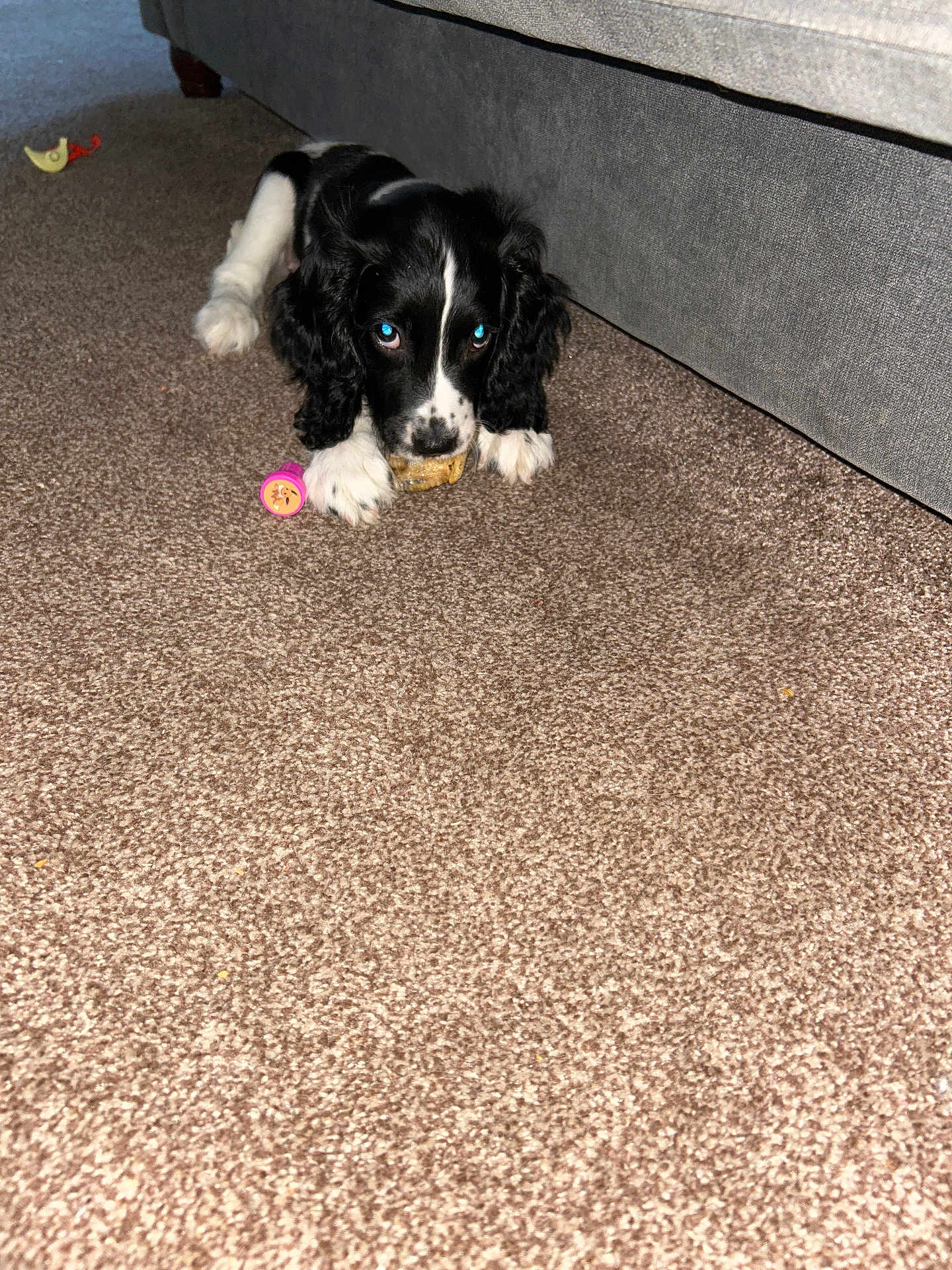Otis