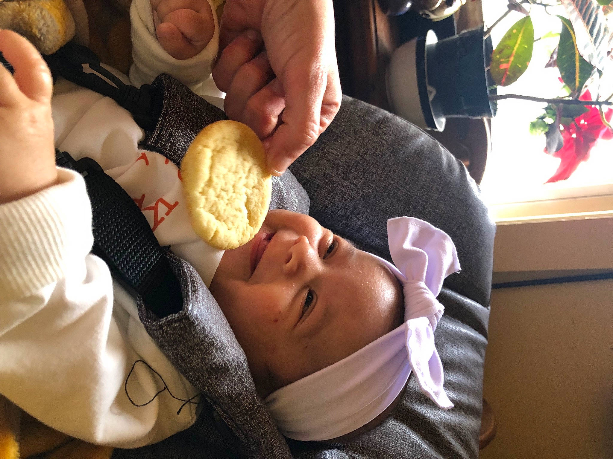 Karmella is registered to the contest to win money with this photo: baby, child, comfort, comfort_food, dessert, finger, finger_food, food, hand, happy, headwear, junk_food, nail, person, plant, sitting, stuffed_toy, sweetness, thumb, toddler