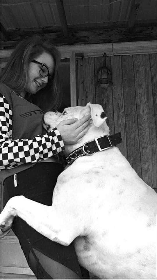 Mallory is registered to the contest to win money with this photo: canidae, carnivore, companion_dog, dog, dog_breed, fawn, great_dane, joy, non_sporting_group, person, photography