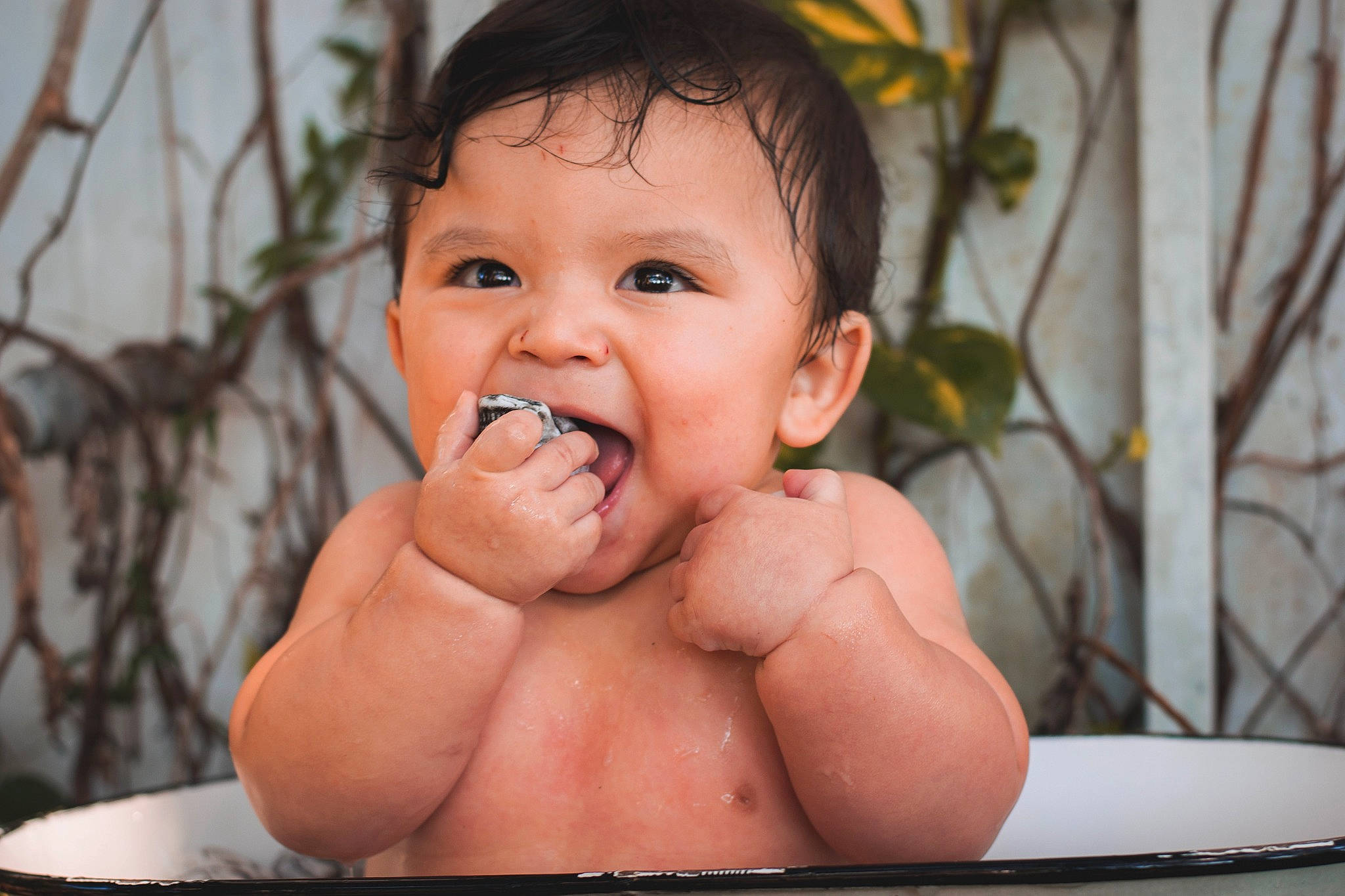Armando is registered to the contest to win money with this photo: baby, bathing, cheek, chest, child, eyelash, flash_photography, fun, gesture, happy, leisure, lip, nose, person, plant, portrait_photography, sitting, skin, smile, thumb