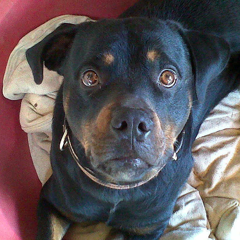 Epsylonn a rejoint le concours — aidez-le/la à gagner de superbes lots !