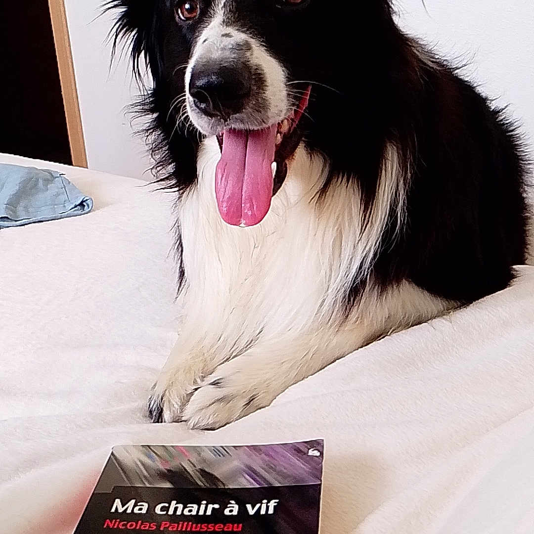 Marley