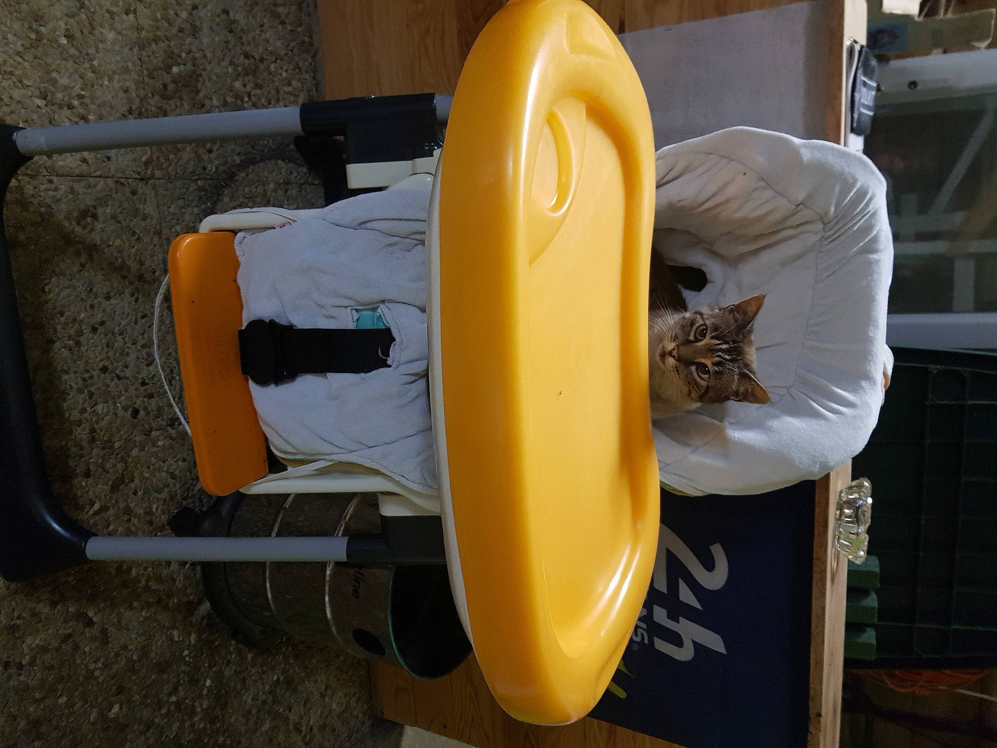 Lucifer a rejoint le concours — aidez-le/la à gagner de superbes lots ! automotive_wheel_system, chair, fender, gas, machine, shelf, thigh, wood