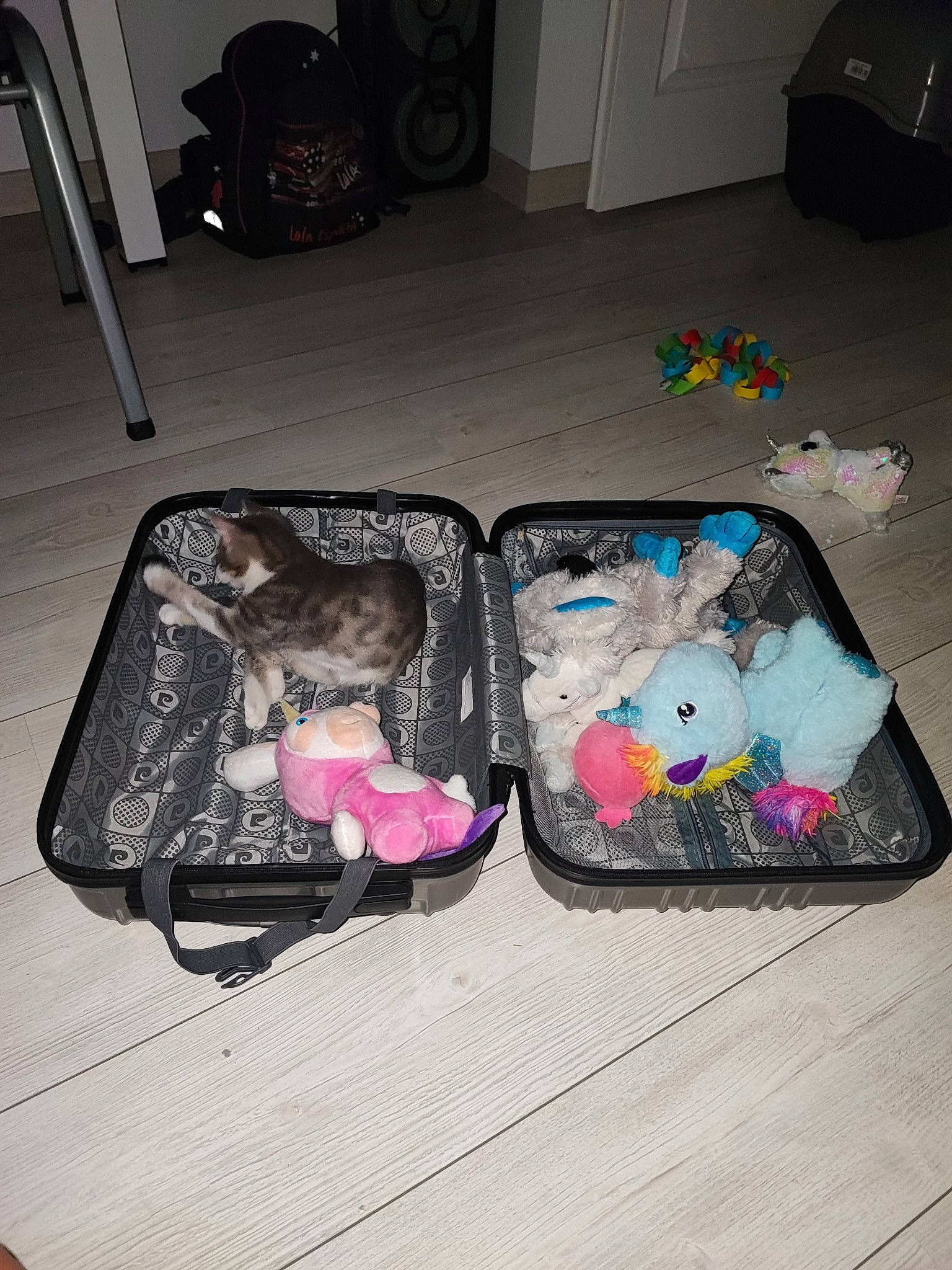 Toupie a rejoint le concours — aidez-le/la à gagner de superbes lots ! bag, baggage, box, comfort, flooring, hardwood, luggage_and_bags, plastic, room, suitcase, trunk