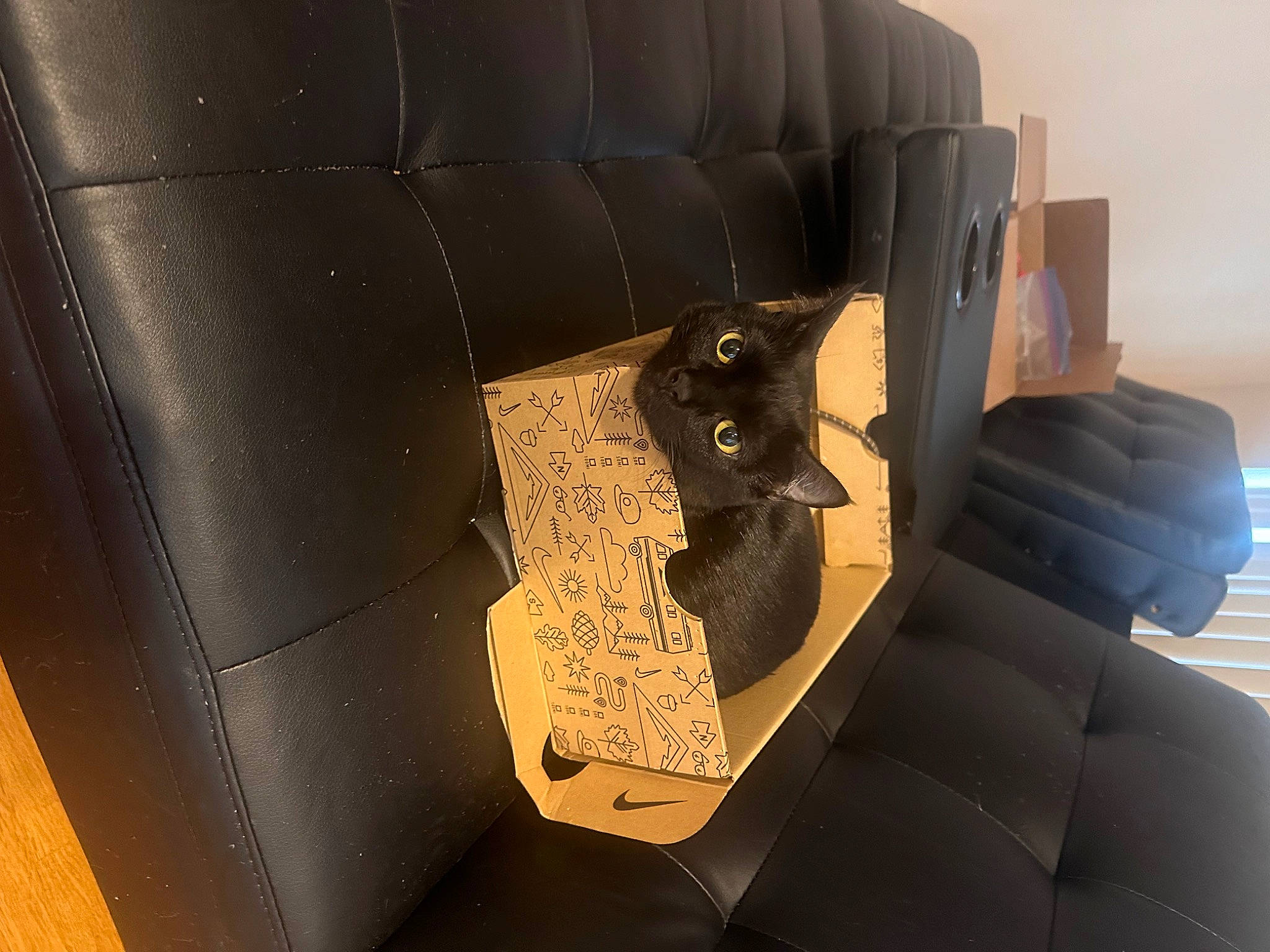 Chacha joined the competition — help win amazing prizes! armrest, art, auto_part, automotive_design, automotive_tire, carnivore, cat, chair, club_chair, comfort, felidae, flooring, furniture, metal, sculpture, small_to_medium_sized_cats, tints_and_shades, vertebrate, whiskers, wood