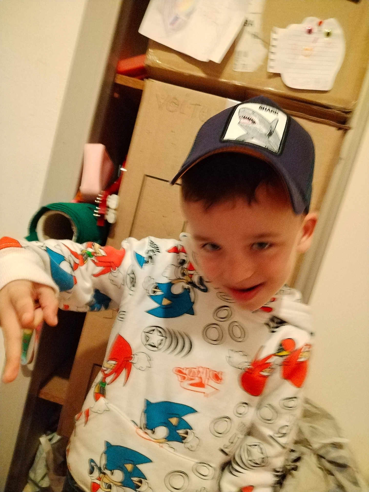 Louckas a rejoint le concours — aidez-le/la à gagner de superbes lots ! child, boy, hoodie, cap, sonic_the_hedgehog, cartoon_clothing, indoor, playful, smiling, young, clutter, boxes, cardboard, casual, portrait, person, messy_background, expression, fun, hat