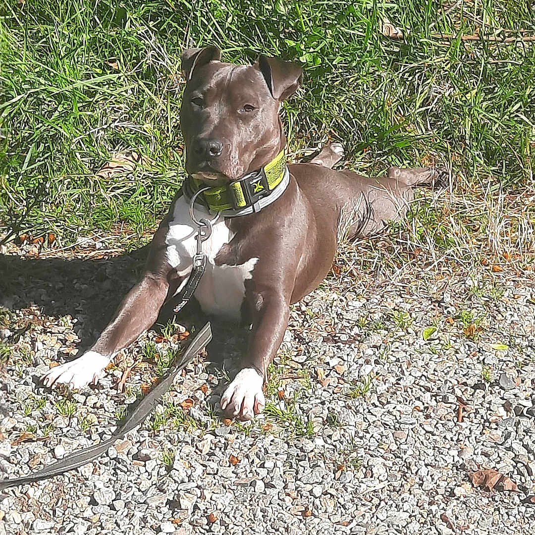 Nina