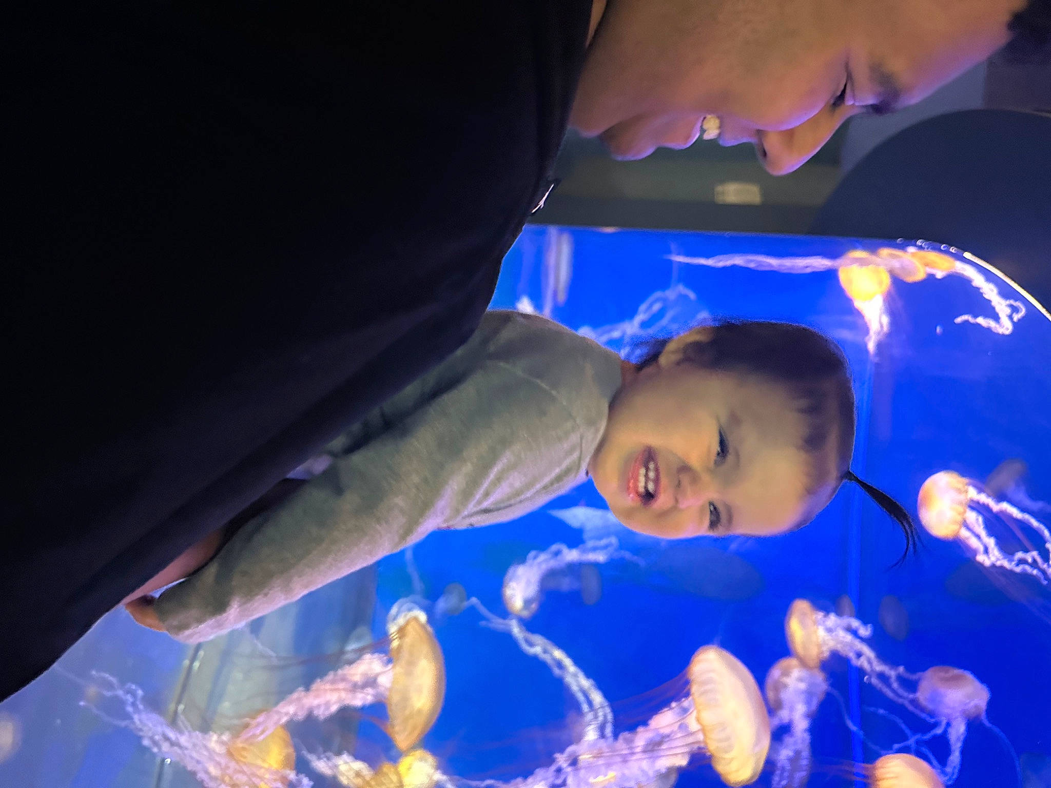 Analina is registered to the contest to win money with this photo: aquarium, automotive_lighting, child, cloud, darkness, electric_blue, entertainment, event, fish, fun, hat, leisure, lighting, marine_biology, person, sky, smile, space, toddler, underwater