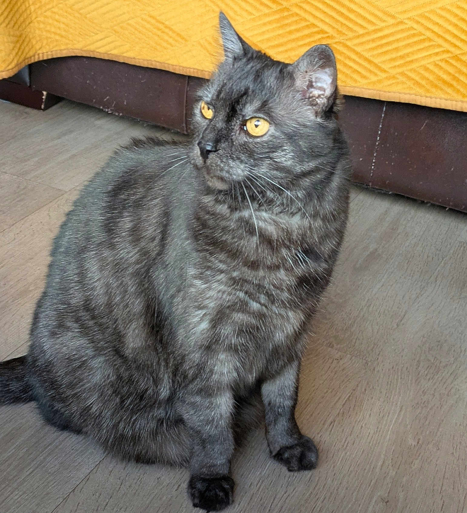 Ina