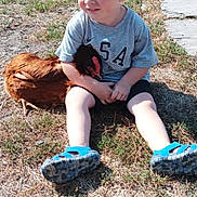 Thomas is registered to the contest to win money with this photo: child, toddler, curly_hair, blond_hair, gray_tshirt, blue_sandals, chicken, animal, grass, outdoor, sunlight, vehicle_tire, nature, sitting, hugging, pet, rural, summer, casual_clothing, young_child