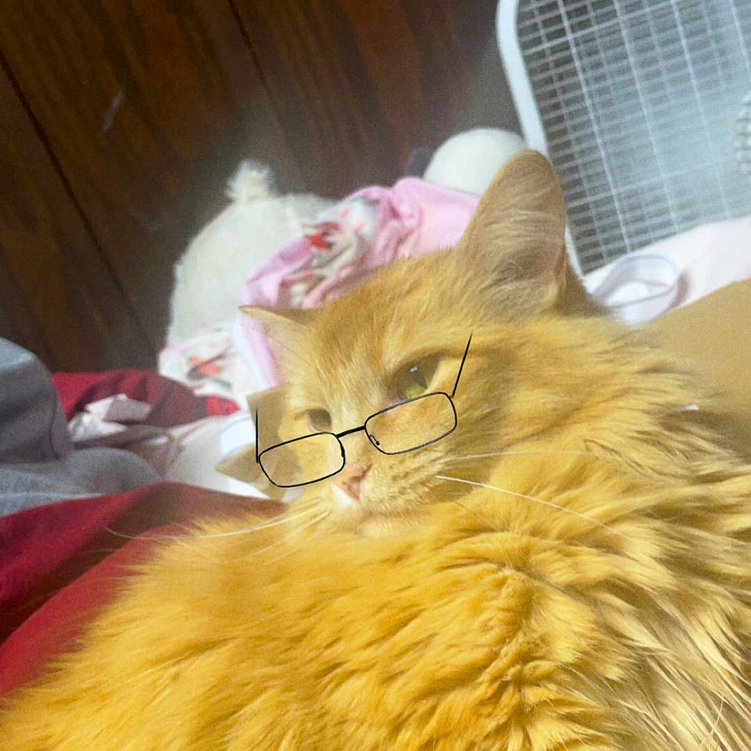 Pumpkin