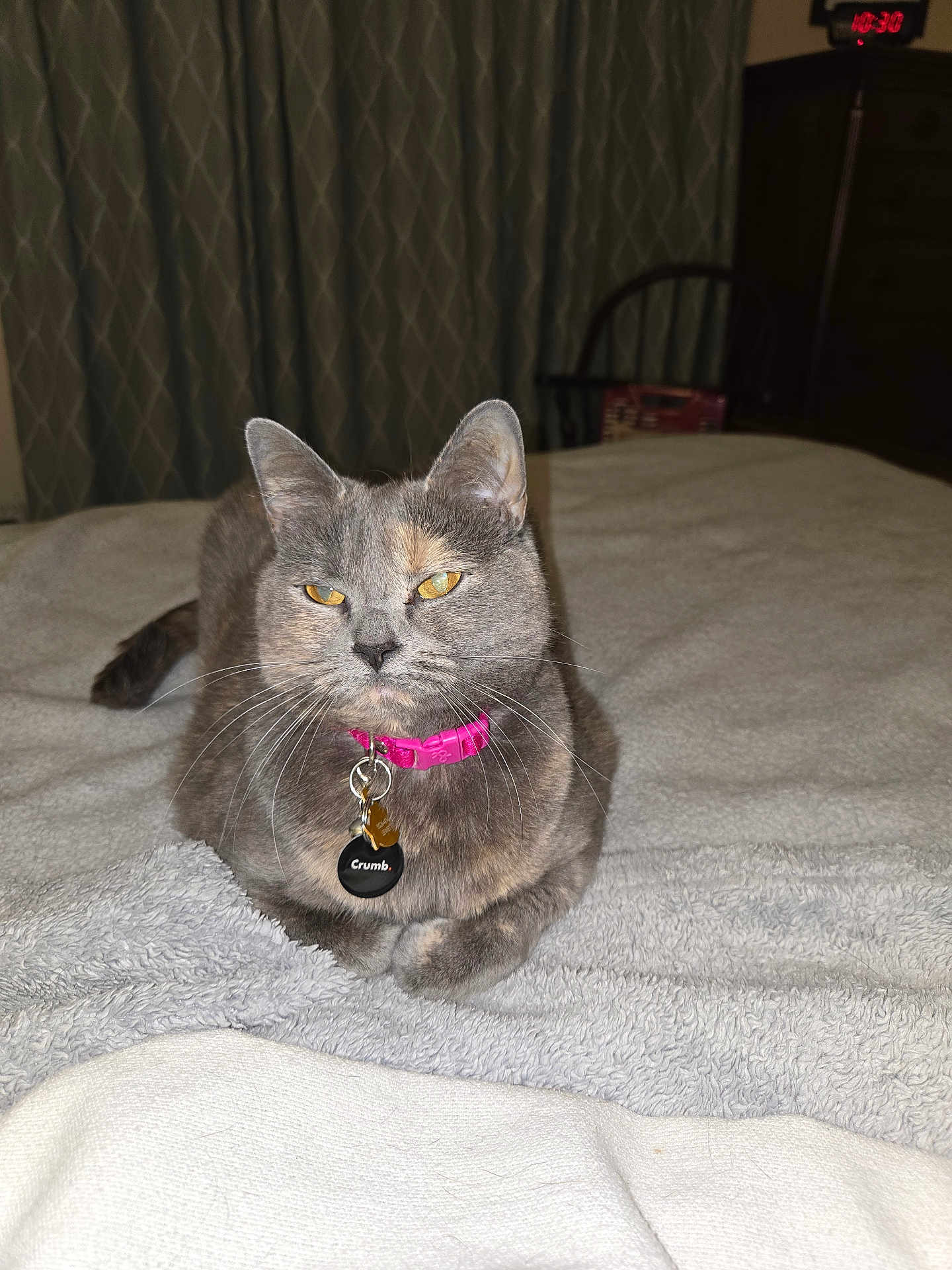 Maisy Mae