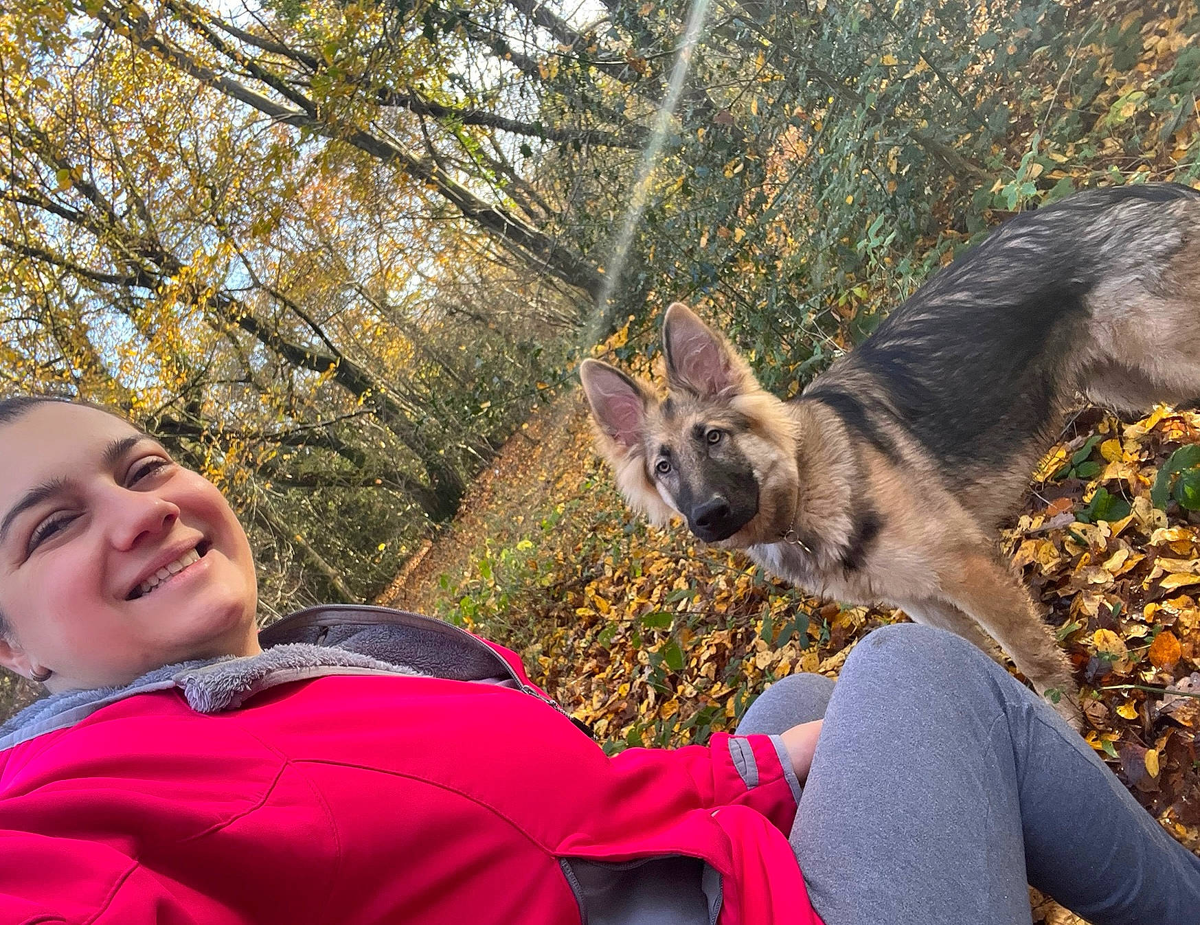 Ice is registered to the contest to win money with this photo: canidae, dog_breed, fawn, fun, fur, gesture, grass, happy, leisure, livestock, people_in_nature, plant, sitting, smile, snout, tail, terrestrial_animal, tree, wildlife, working_animal