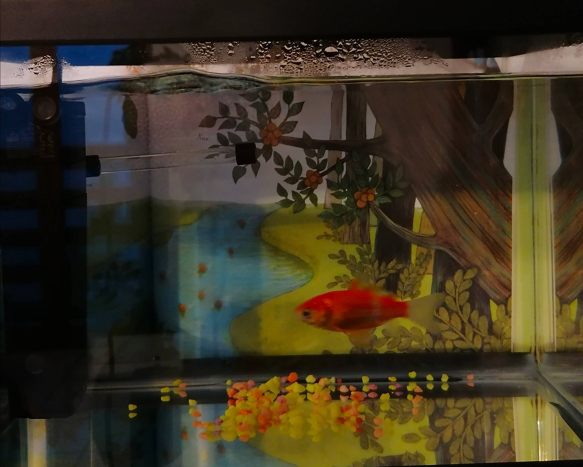 Bubulle participe au concours pour gagner de l'argent avec cette photo : aquarium, art, feeder_fish, fish, goldfish, modern_art, organism, painting, visual_arts