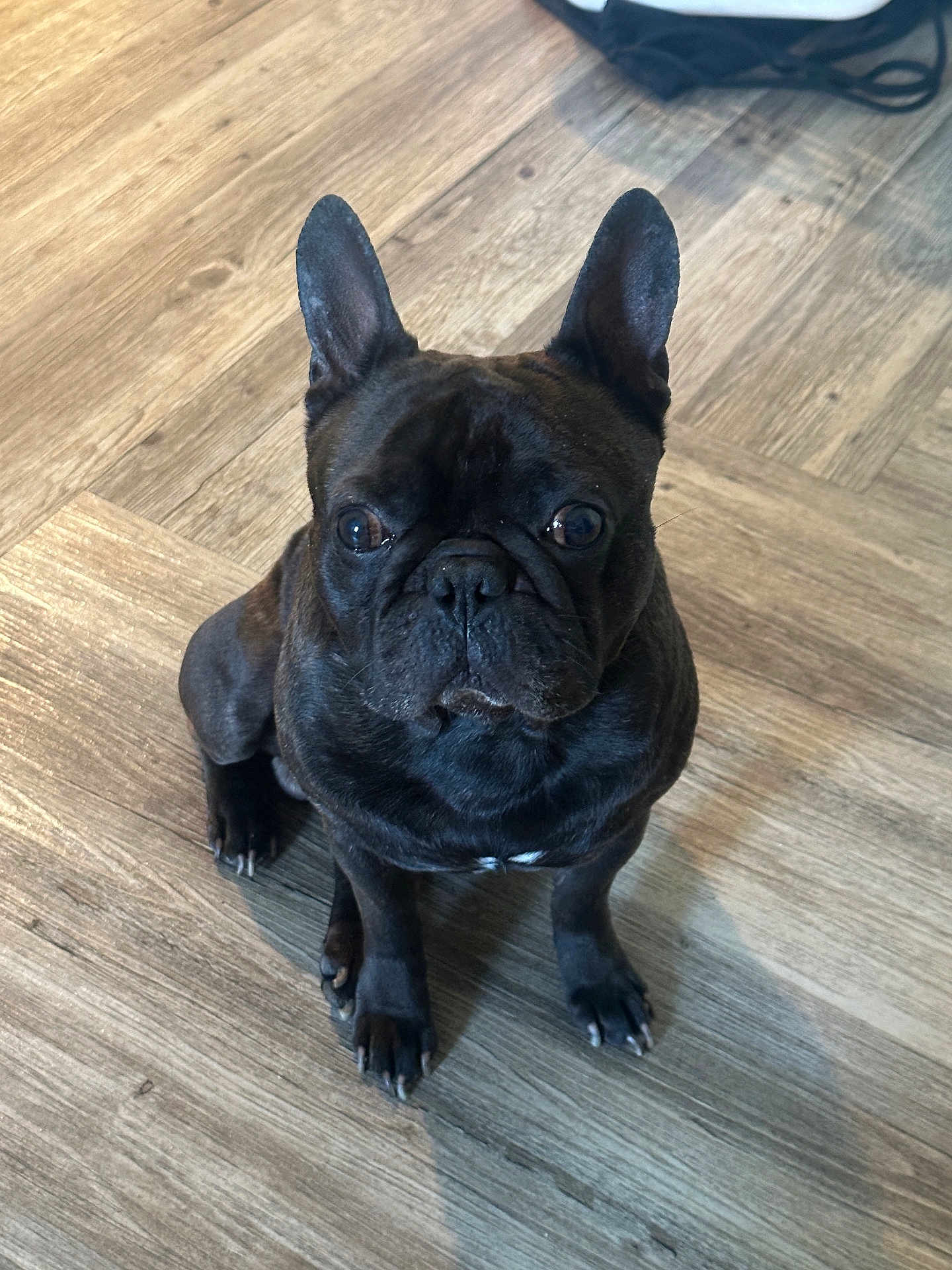 Clyde