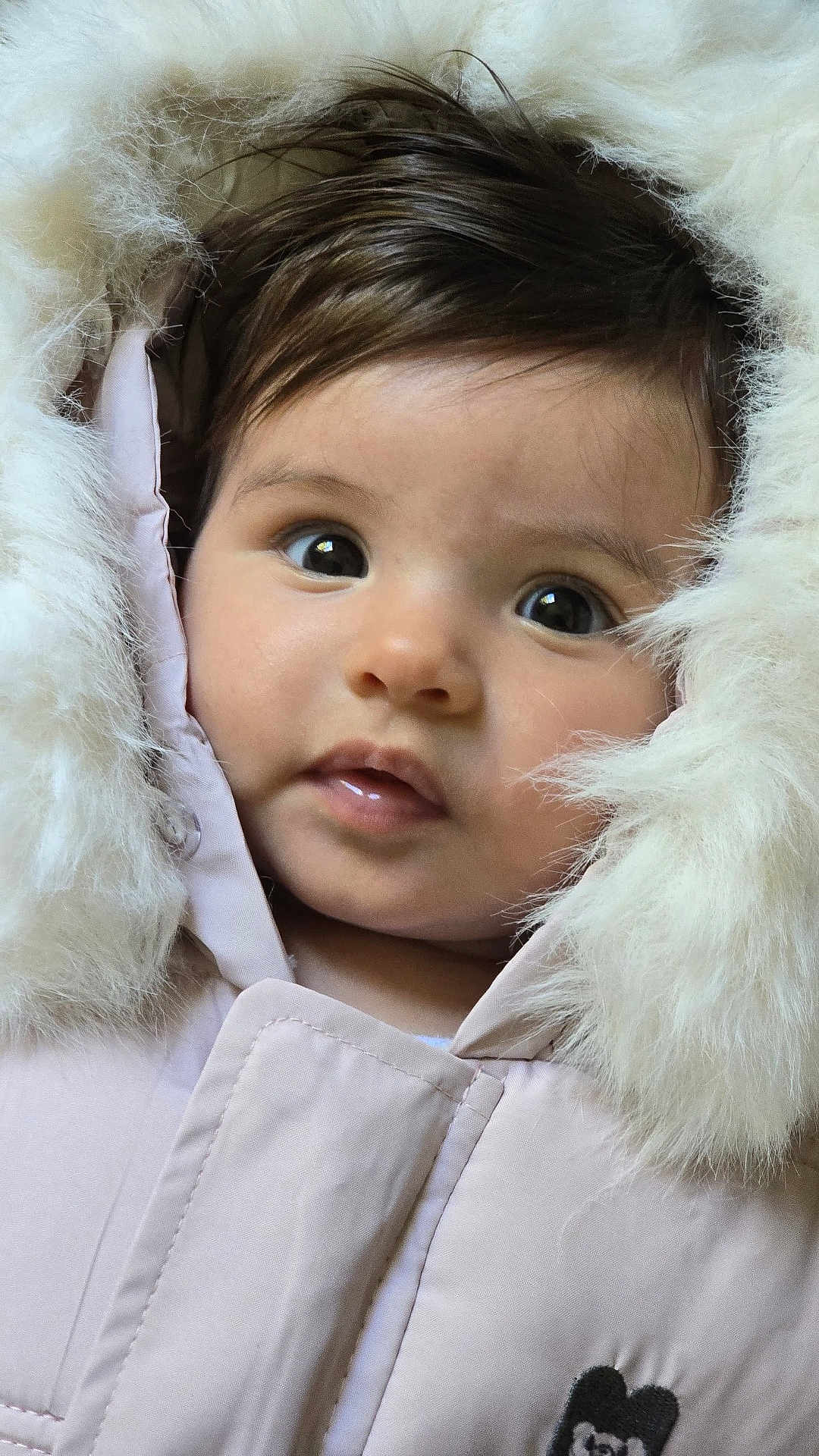 Sabine joined the competition — help win amazing prizes! baby, child, face, fur_hood, jacket, winter_clothing, outdoor_wear, cute, young, portrait, closeup, warm, fur, hood, innocent, curious, soft_texture, eyelashes, skin, small_lips