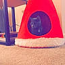 Storm is registered to the contest to win money with this photo: cone, games, party_hat, triangle
