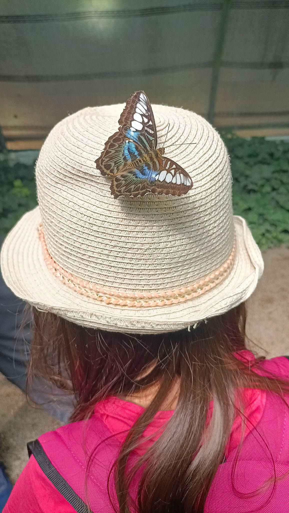 Jade participe au concours pour gagner de l'argent avec cette photo : arthropod, butterfly, cap, costume_hat, fashion_accessory, fedora, fun, hat, headgear, insect, leisure, magenta, pattern, person, pollinator, sombrero, sun_hat, sunglasses, thread, travel