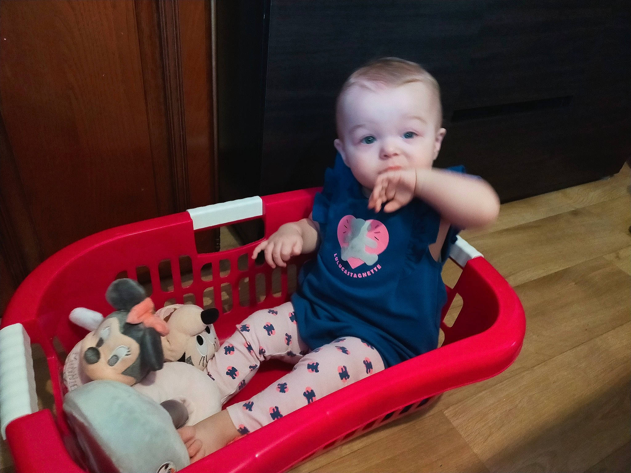 Nana participe au concours pour gagner de l'argent avec cette photo : baby, baby_playing_with_toys, baby_products, baby_safety, baby_toddler_clothing, baby_toys, child, comfort, hardwood, laminate_flooring, person, plastic, play, product, sitting, toddler, toy, wood_flooring, wood_stain