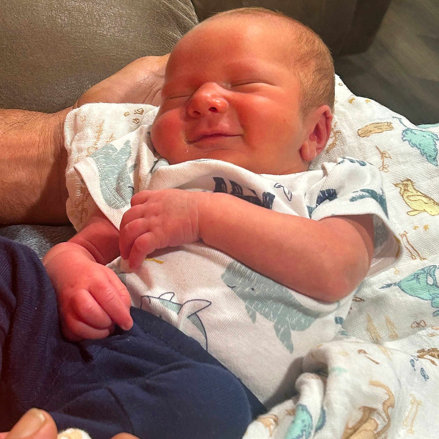 Stetsyn is registered to the contest to win money with this photo: baby, blanket, clothing, comfort, cozy, cute, family, hands, indoor, infant, love, newborn, peaceful, person, portrait, resting, sleeping, smile, soft, young