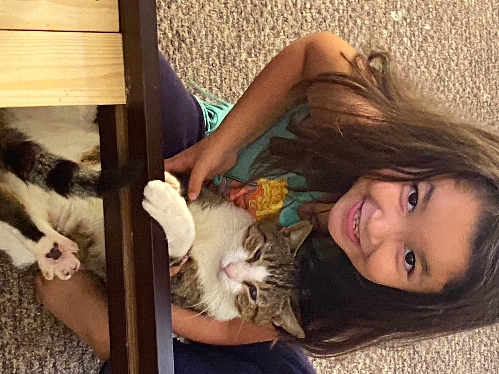 Mariana joined the competition — help win amazing prizes! canidae, carnivore, cat, child, comfort, companion_dog, domestic_short_haired_cat, fawn, felidae, fun, fur, happy, human_leg, joy, lap, long_hair, mammal, person, sitting, small_to_medium_sized_cats