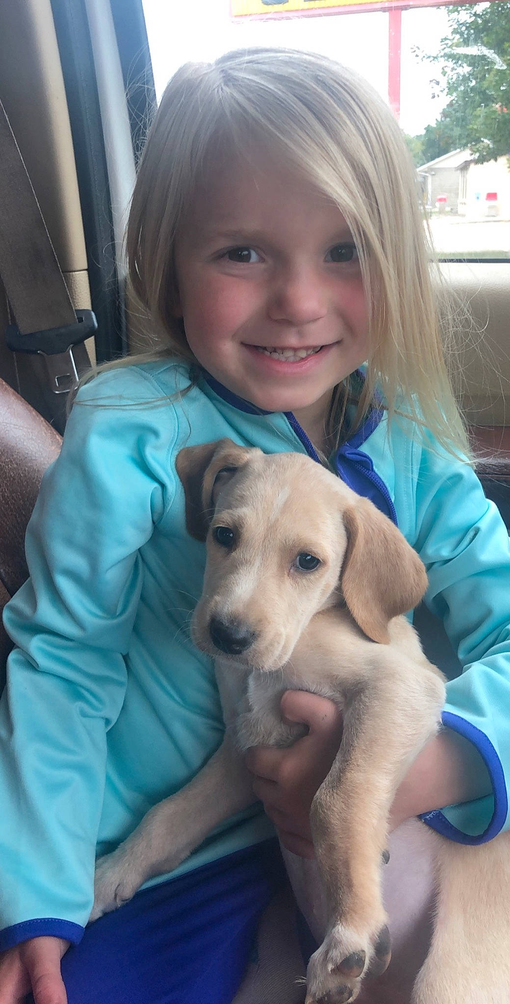 Kadence joined the competition — help win amazing prizes! beagador, canidae, carnivore, child, companion_dog, dog, dog_breed, fawn, joy, labrador_retriever, mammal, person, puppy, puppy_love, snout, sporting_group