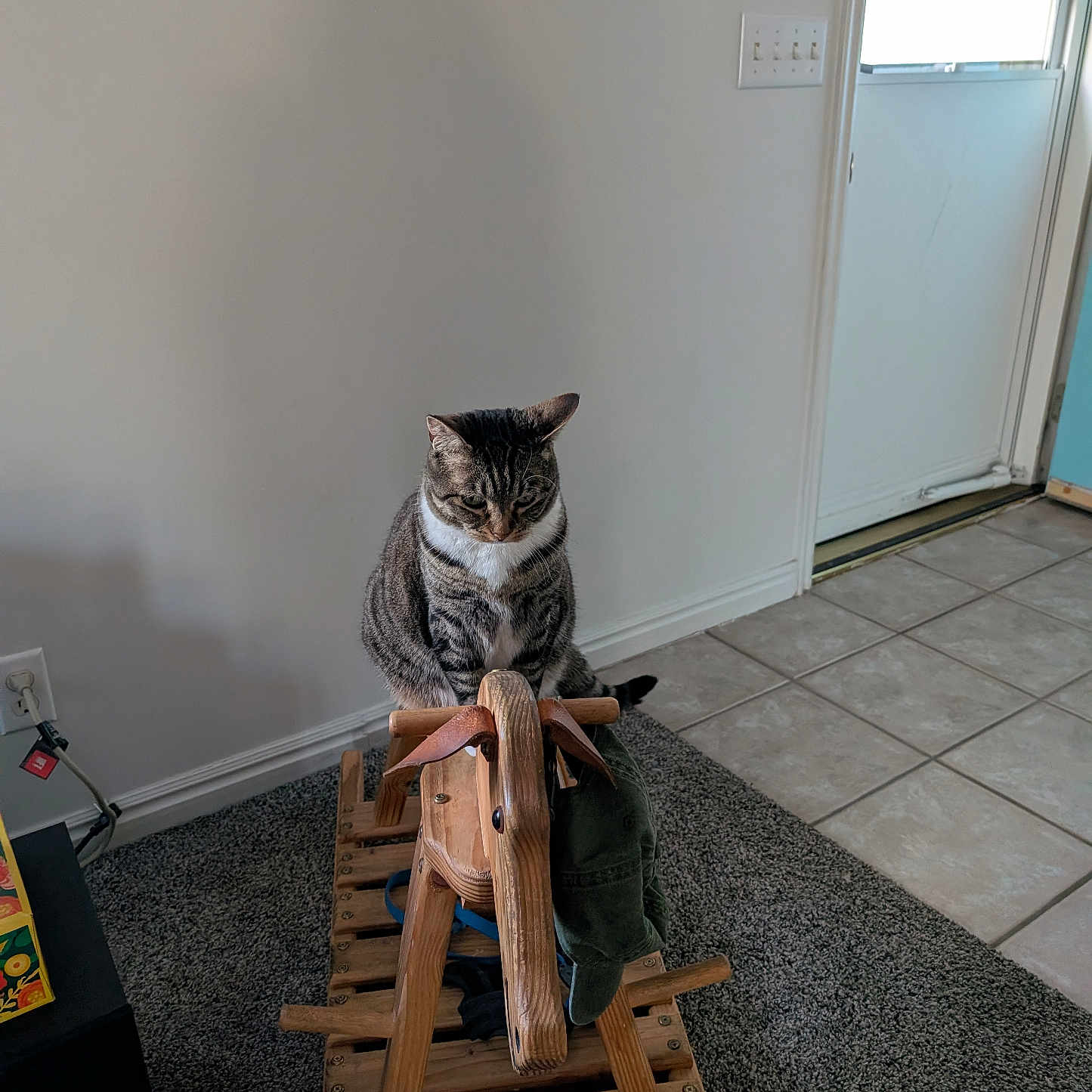 Really Smooth Face is registered to the contest to win money with this photo: animal, carpet, cat, contemplative, domestic, door, flooring, furniture, home, indoor, light_switch, pet, quiet, still_life, tabby_cat, tile_floor, toy, window, wood, wooden_rocking_horse