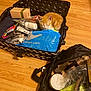 Castiel Adams is registered to the contest to win money with this photo: kitten, cat, sleeping, suitcase, packed, clothes, plastic_bag, wooden_floor, cotton_swabs, shoes, bag, orange_cat, indoor, resting, pet, packing, household, cozy, small_animal, container