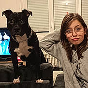 Venom participe au concours pour gagner de l'argent avec cette photo : dog, black_dog, white_markings, chain_collar, couch, person, glasses, smirk, living_room, window, blinds, television, furniture, indoor, casual_clothing, young_person, pet, alert, seated, home
