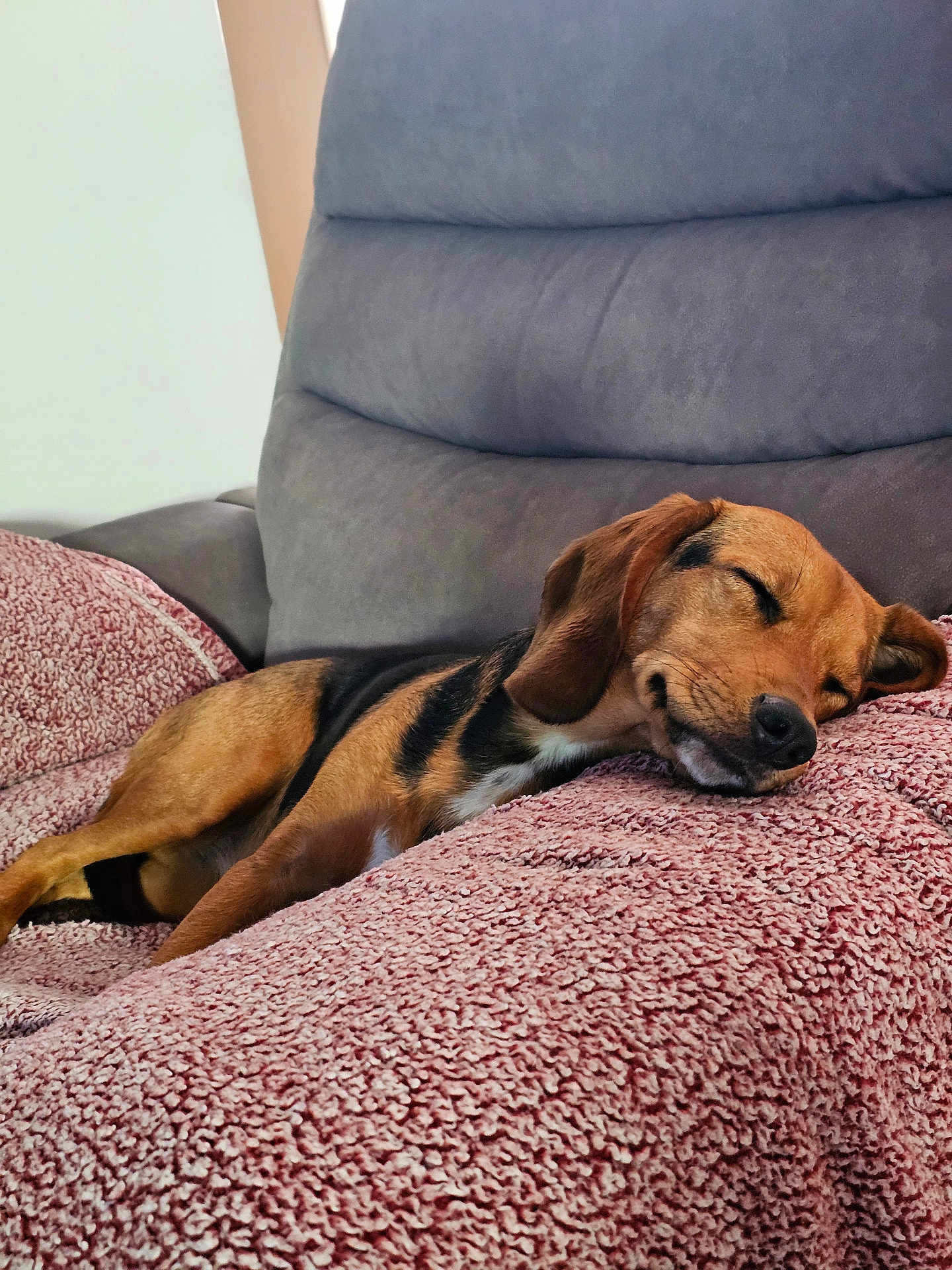 Nova